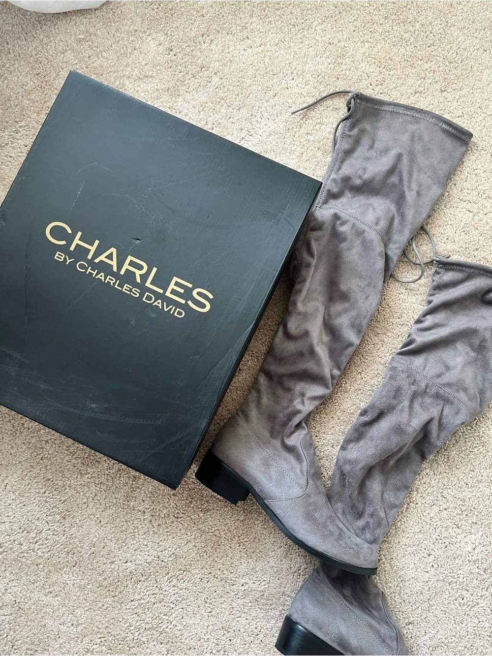 Charles by Charles David Gunter Over-the-Knee Suede Boots